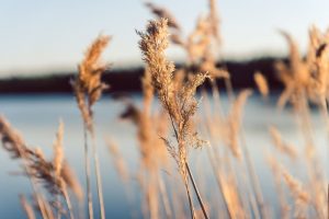 Havsluft och nya idéer